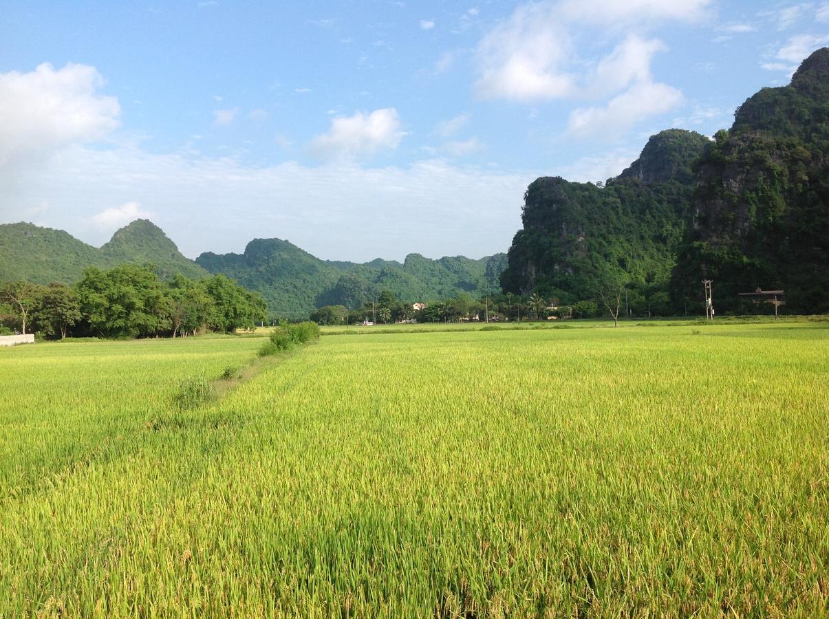 Tam Coc Eco House Homestay *